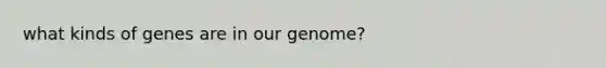 what kinds of genes are in our genome?