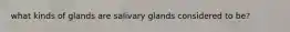 what kinds of glands are salivary glands considered to be?