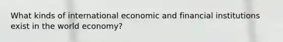 What kinds of international economic and financial institutions exist in the world economy?