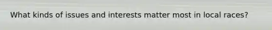 What kinds of issues and interests matter most in local races?