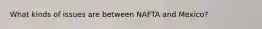 What kinds of issues are between NAFTA and Mexico?