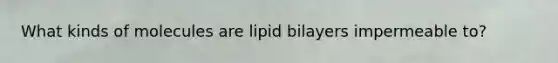 What kinds of molecules are lipid bilayers impermeable to?