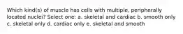 Which kind(s) of muscle has cells with multiple, peripherally located nuclei? Select one: a. skeletal and cardiac b. smooth only c. skeletal only d. cardiac only e. skeletal and smooth