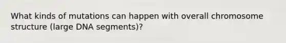 What kinds of mutations can happen with overall chromosome structure (large DNA segments)?