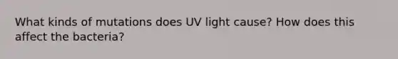 What kinds of mutations does UV light cause? How does this affect the bacteria?