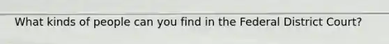 What kinds of people can you find in the Federal District Court?