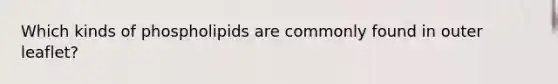 Which kinds of phospholipids are commonly found in outer leaflet?