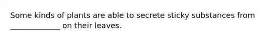 Some kinds of plants are able to secrete sticky substances from _____________ on their leaves.