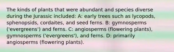 The kinds of plants that were abundant and species diverse during the Jurassic included: A: early trees such as lycopods, sphenopsids, cordaites, and seed ferns. B: gymnosperms ('evergreens') and ferns. C: angiosperms (flowering plants), gymnosperms ('evergreens'), and ferns. D: primarily angiosperms (flowering plants).