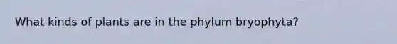 What kinds of plants are in the phylum bryophyta?