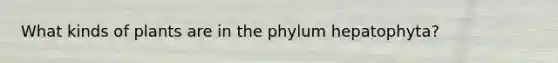 What kinds of plants are in the phylum hepatophyta?