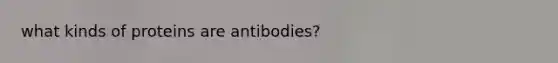 what kinds of proteins are antibodies?