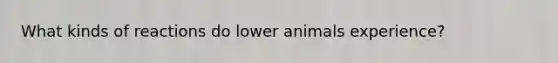 What kinds of reactions do lower animals experience?