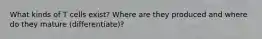 What kinds of T cells exist? Where are they produced and where do they mature (differentiate)?