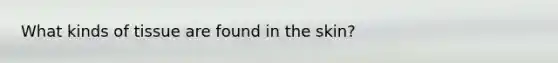 What kinds of tissue are found in the skin?