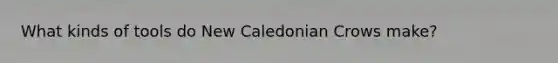 What kinds of tools do New Caledonian Crows make?