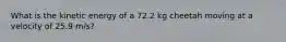 What is the kinetic energy of a 72.2 kg cheetah moving at a velocity of 25.9 m/s?