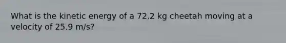 What is the kinetic energy of a 72.2 kg cheetah moving at a velocity of 25.9 m/s?