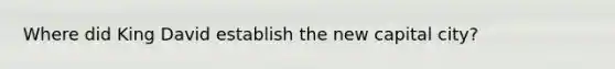 Where did King David establish the new capital city?