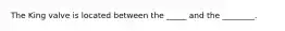 The King valve is located between the _____ and the ________.