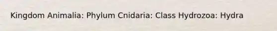 Kingdom Animalia: Phylum Cnidaria: Class Hydrozoa: Hydra