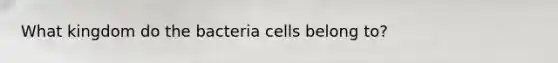 What kingdom do the bacteria cells belong to?