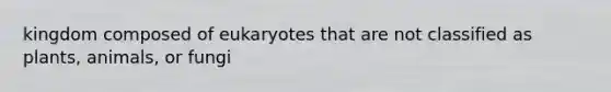 kingdom composed of eukaryotes that are not classified as plants, animals, or fungi