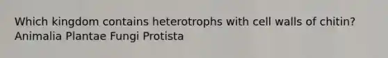 Which kingdom contains heterotrophs with cell walls of chitin? Animalia Plantae Fungi Protista