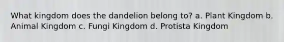 What kingdom does the dandelion belong to? a. Plant Kingdom b. Animal Kingdom c. Fungi Kingdom d. Protista Kingdom