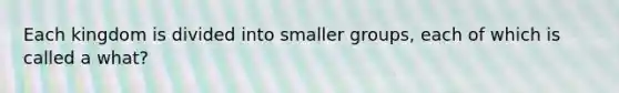 Each kingdom is divided into smaller groups, each of which is called a what?