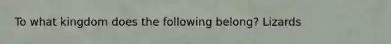 To what kingdom does the following belong? Lizards