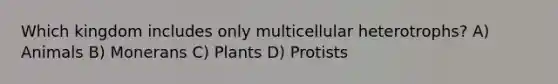 Which kingdom includes only multicellular heterotrophs? A) Animals B) Monerans C) Plants D) Protists