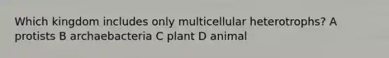 Which kingdom includes only multicellular heterotrophs? A protists B archaebacteria C plant D animal