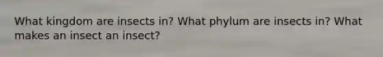 What kingdom are insects in? What phylum are insects in? What makes an insect an insect?
