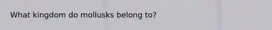 What kingdom do mollusks belong to?