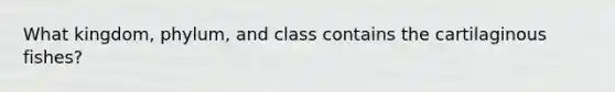 What kingdom, phylum, and class contains the cartilaginous fishes?
