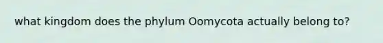 what kingdom does the phylum Oomycota actually belong to?