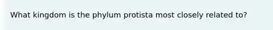 What kingdom is the phylum protista most closely related to?