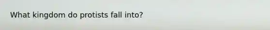 What kingdom do protists fall into?