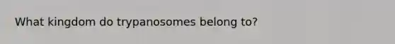 What kingdom do trypanosomes belong to?