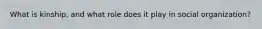 What is kinship, and what role does it play in social organization?