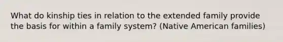 What do kinship ties in relation to the extended family provide the basis for within a family system? (Native American families)