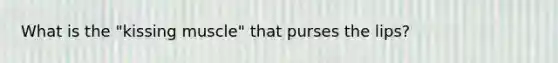 What is the "kissing muscle" that purses the lips?