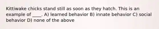 Kittiwake chicks stand still as soon as they hatch. This is an example of ____. A) learned behavior B) innate behavior C) social behavior D) none of the above