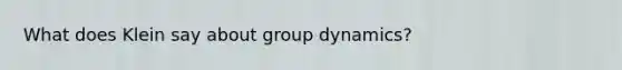 What does Klein say about group dynamics?