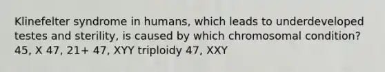 Klinefelter syndrome in humans, which leads to underdeveloped testes and sterility, is caused by which chromosomal condition? 45, X 47, 21+ 47, XYY triploidy 47, XXY