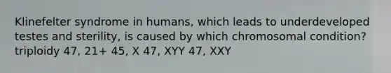 Klinefelter syndrome in humans, which leads to underdeveloped testes and sterility, is caused by which chromosomal condition? triploidy 47, 21+ 45, X 47, XYY 47, XXY