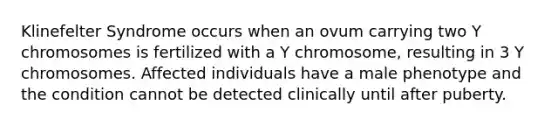 Klinefelter Syndrome occurs when an ovum carrying two Y chromosomes is fertilized with a Y chromosome, resulting in 3 Y chromosomes. Affected individuals have a male phenotype and the condition cannot be detected clinically until after puberty.