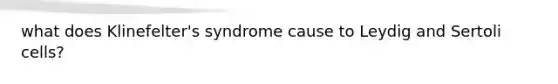 what does Klinefelter's syndrome cause to Leydig and Sertoli cells?