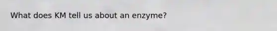 What does KM tell us about an enzyme?